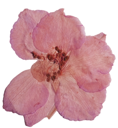 ConArte presenta el Estatuto del Artista. Artistas con derechos